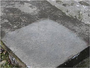 Tenax Brioaction 3 Professional Stain Remover - in use