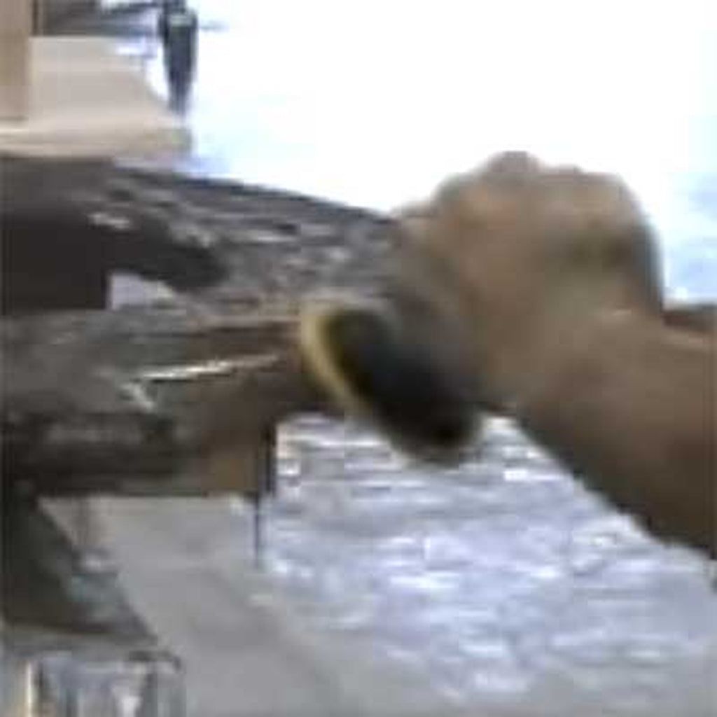 Ceramica Metal Preparation Stage for Wet Granite Polishing