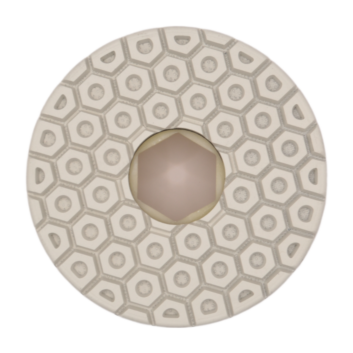 ProEdge Polishing Discs Snail Lock White Resin