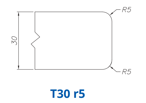 T30 r5(30mm Eased Top & Bottom r5 - Router Bits)