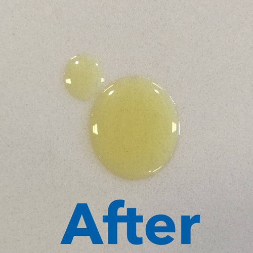 Tenax Skudo Shield – Quartz Shield – 1 L