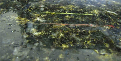 Weha Red pen for Profi marker for Stone Fabrication - close-up detail