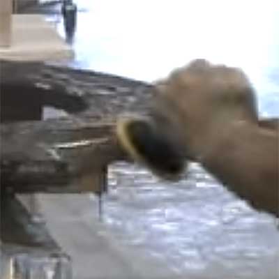 Ceramica Metal Preparation Stage for Wet Granite Polishing