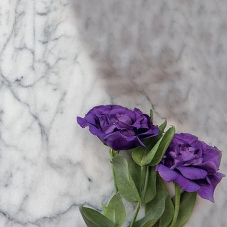 Bellinzoni B-Top Restorer Polishing Cream 250 mL - side view