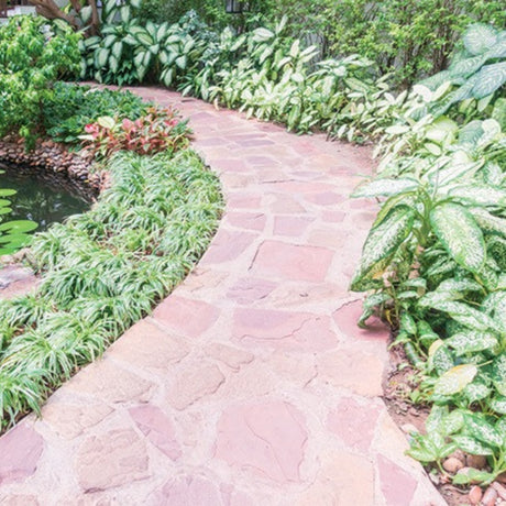 Bellinzoni B-Xtreme HD Cleaner CK High-concentrate cleaner for Terracotta, Clinker, Glazed Ceramic and Quarry Tile 1L - side 