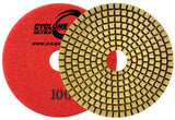 3" Polishing Disk 30 Grit